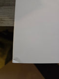 ACTION LAB  DANGER DOLL COMIC BLANK VF CONDITION