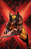 X-MEN UNITED #1 TRADE & VIRGIN VARIANTS BY SKAN